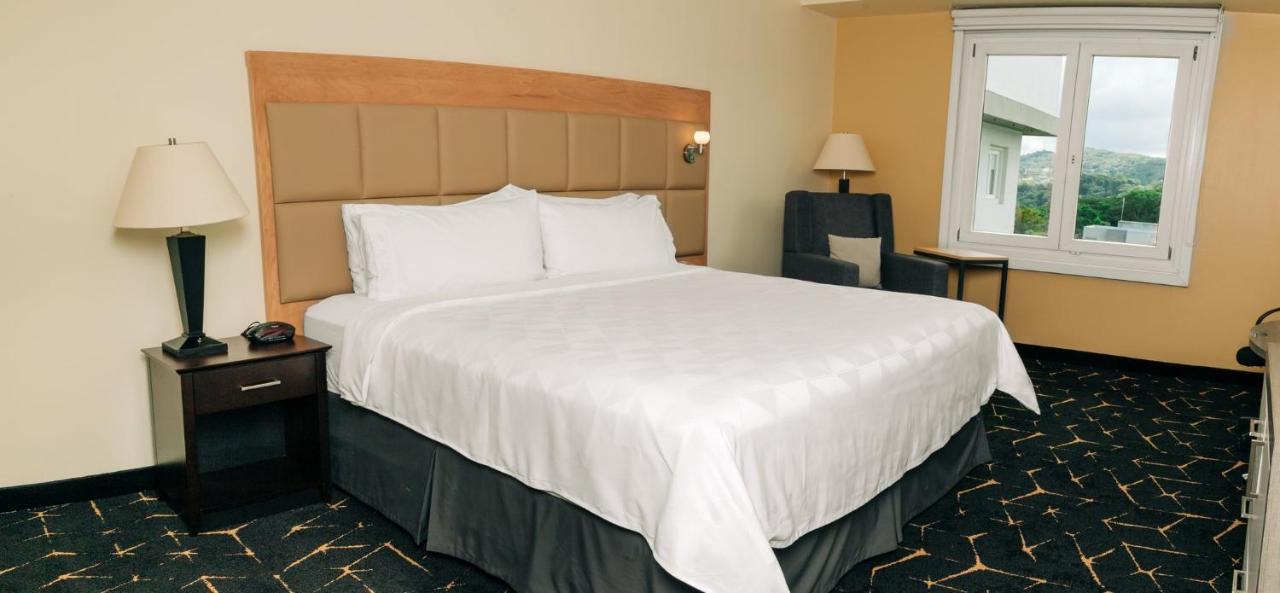 Holiday Inn San Salvador By Ihg Extérieur photo